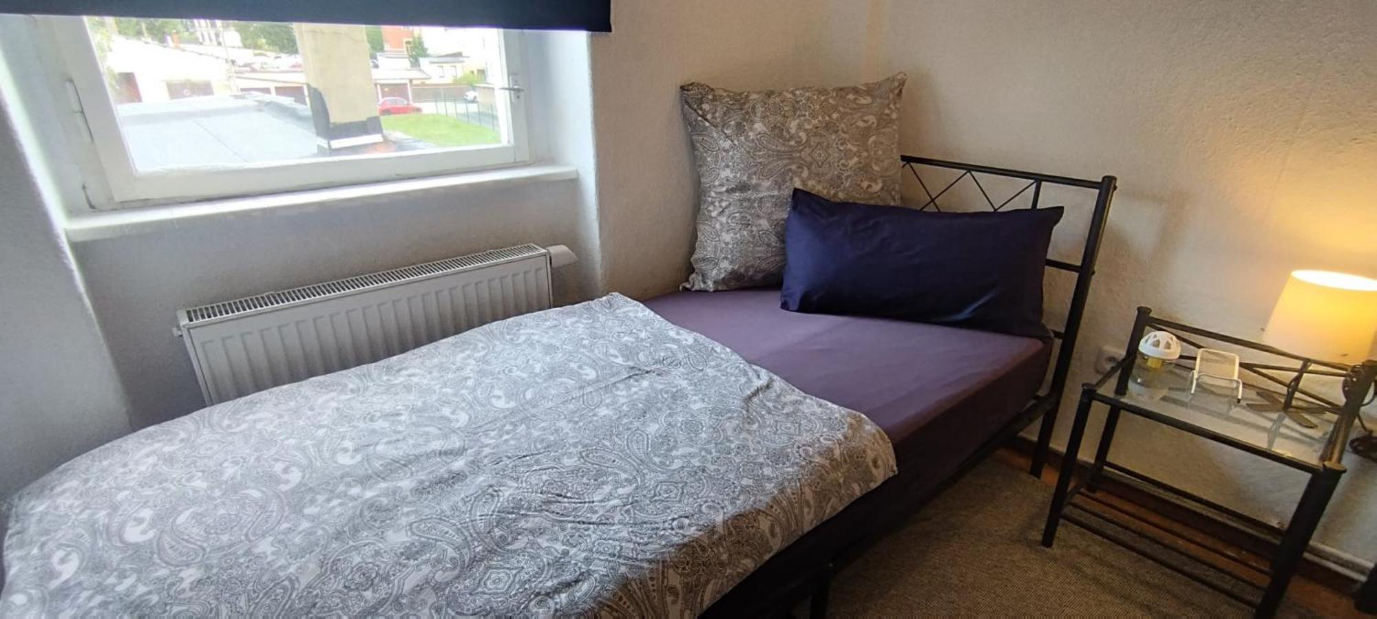 Daily Weekly Monthly Apartment Glauchau Eksteriør billede